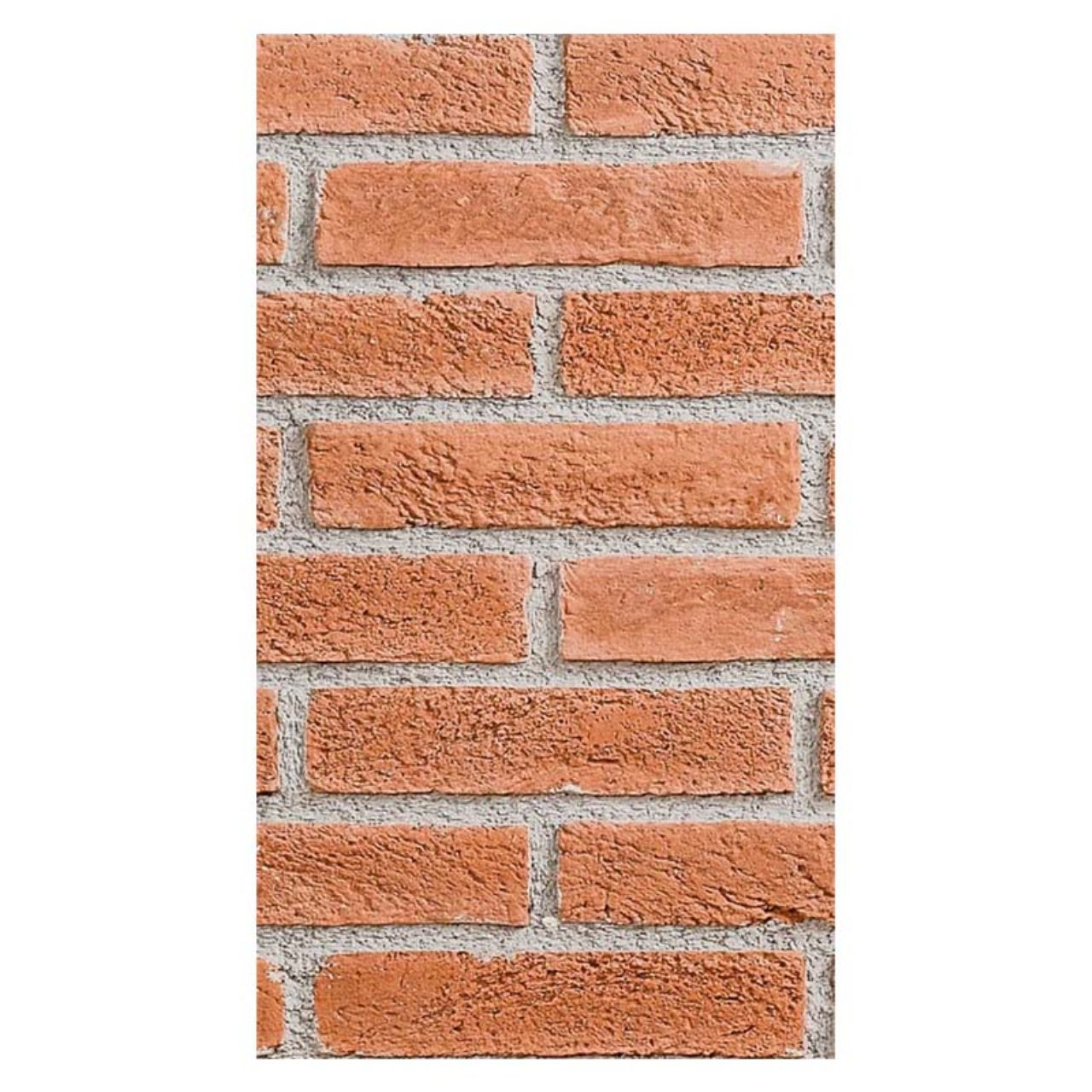 THIN BRICKS